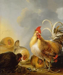 Un groupe de volailles de basse-cour