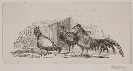 Trois poules