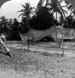 Pêcheurs séchant leurs filets sur la plage, Basseterre, Saint-Christophe, Antilles