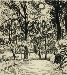 (Chemin éclairé par le soleil)