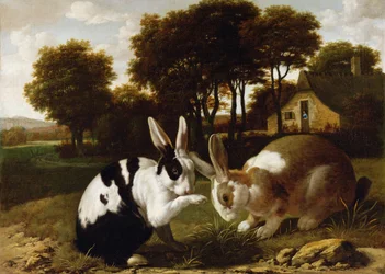 Deux lapins dans un paysage, vers 1650