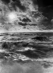Force de la tempête