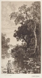 Sans titre (Été)