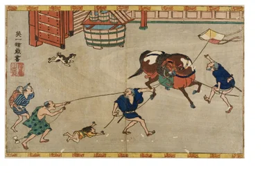 Cheval effrayé par un cerf-volant
