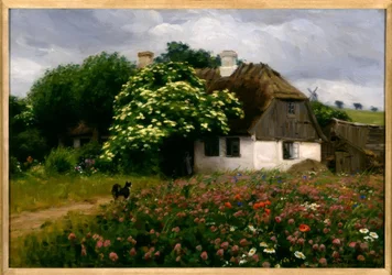 Prairie fleurie à la ferme