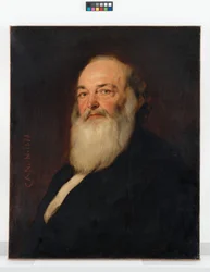 Carl Christian von Hochstetter, industriel