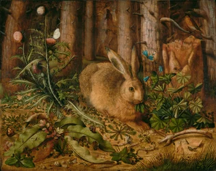 Un lièvre dans la forêt