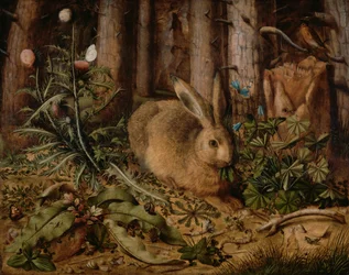 Un lièvre dans la forêt
