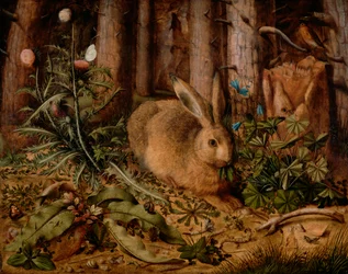 Un lièvre dans la forêt, vers 1585