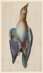 Rollier mort, 1583