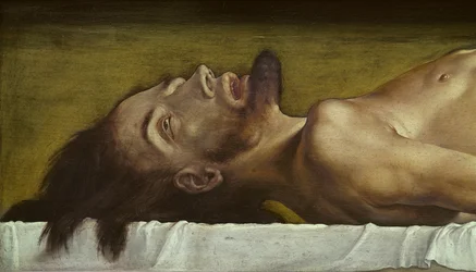 Le corps du Christ mort, détail de la tête, 1521