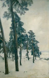 Du lac Bogstad