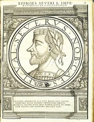Seuerus D, illustration de 
