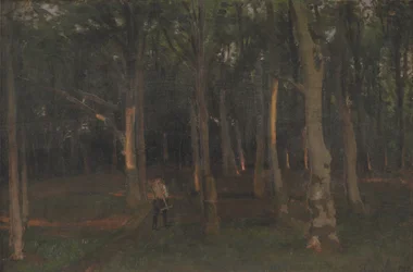 Forêt au coucher du soleil
