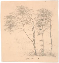 Trois arbres