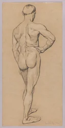 Nu masculin vu de dos