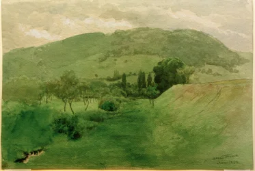 Paysage de la Forêt-Noire
