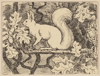 Illustration tirée du manuel d