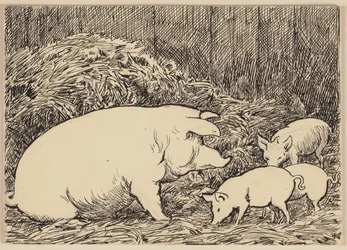 Illustration tirée du manuel d