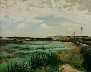 Marais de Marazion