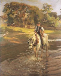 Abreuvant le cheval