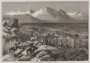 Une récente chasse au sanglier en Algérie