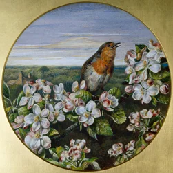 Un rouge-gorge parmi les fleurs
