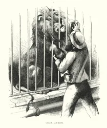 Marin et lion