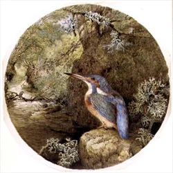 Le repaire du martin-pêcheur