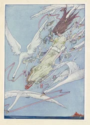 Les Cygnes Sauvages. Toute la journée, ils volaient dans les airs.