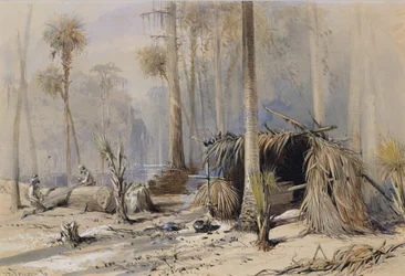 La cour de bardeaux de cyprès, rivière Ocklawaha, Floride