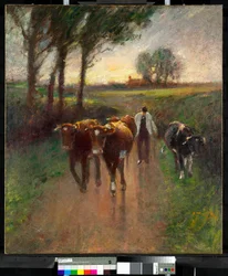 Conduire les vaches au pâturage