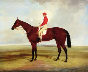 Surplice, le cheval de course bai de Lord Clifden, avec S. Templeman en haut (huile sur toile)