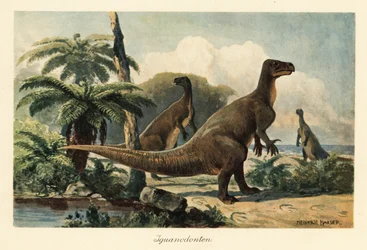 Iguanodon bernissartensis dans une forêt de fougères préhistorique
