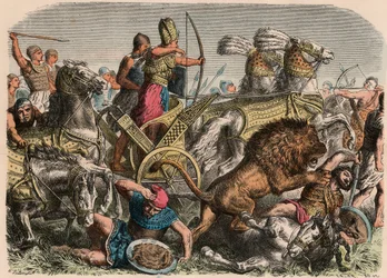 Égypte ancienne : le pharaon Ramsès II combat les lions de guerre de l