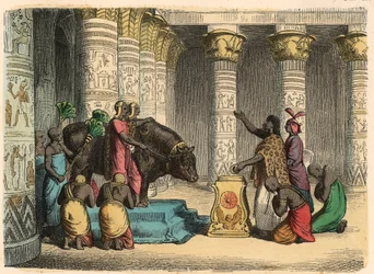 Égypte antique : Culte du taureau Apis