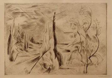 Grande paysage de parc