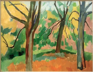 Paysage de parc