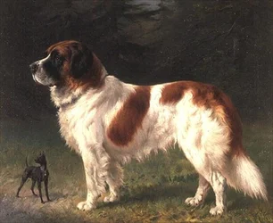 Un Saint-Bernard et un Pinscher miniature