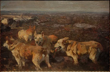 Chiens