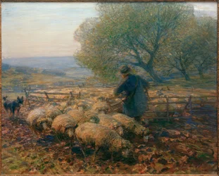 Moutons quittant l