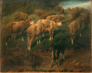 Moutons avec chien noir