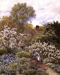 Jardin au printemps