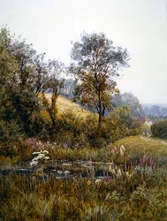 Cueillir des fleurs près de l
