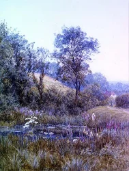 Cueillir des fleurs près de l