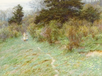 Primevères sur une lande du Surrey