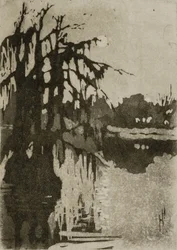 Arbres à cyprès