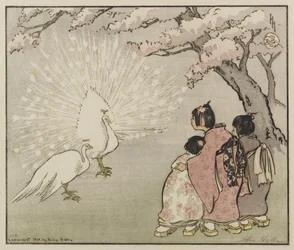 Paon blanc, 1914