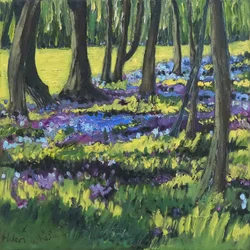 Bois de jacinthes, 2008