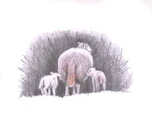 Suivre, 2016